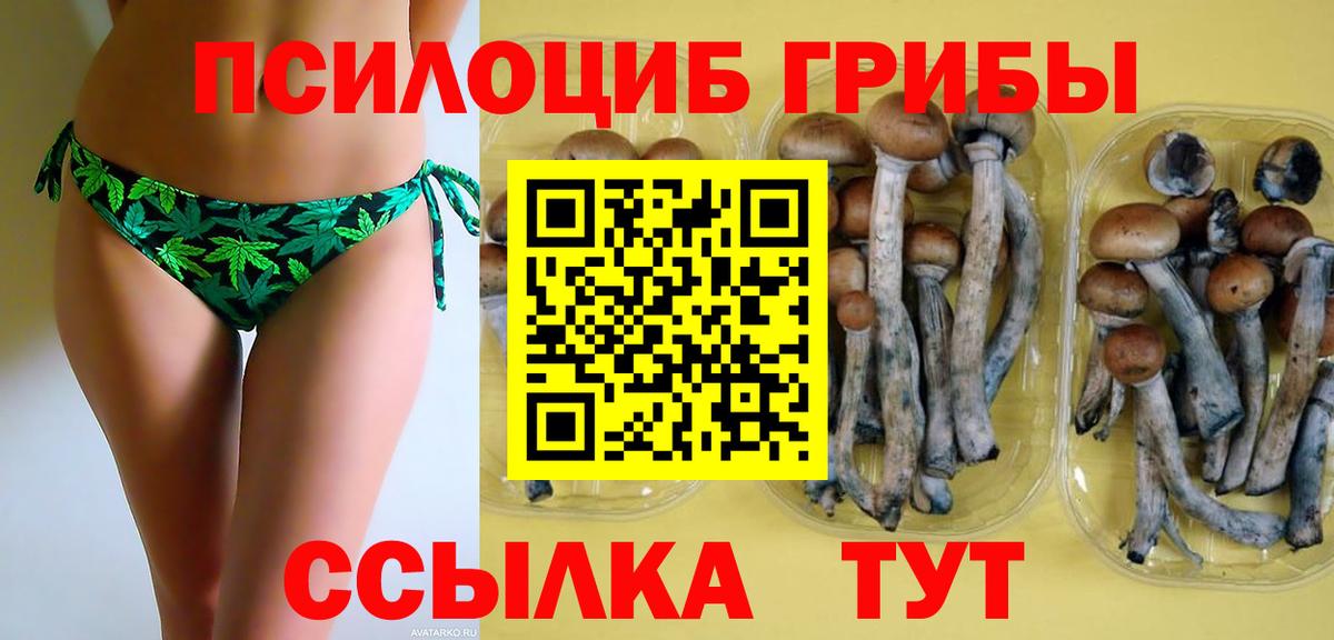 Камышин  Псилоцибиновые грибы Magic Shrooms  закладка  Вход с VPN 
